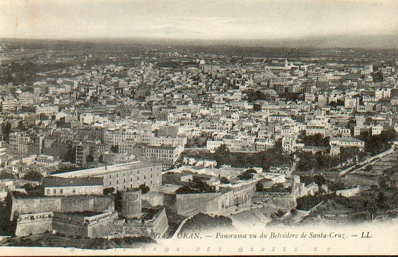 X ORAN PANORAMA VUE DU BELVEDERE.jpg